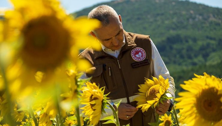 100 personelle sahaya indiler: Manisa’da çayır tırtılı denetimi