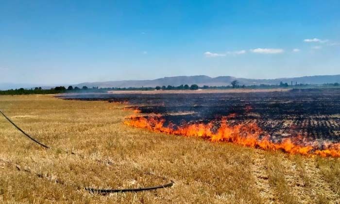Bilinçsizce yakılan anız 200 dekar alanı siyaha bürüdü