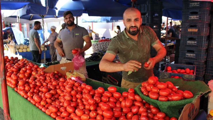 Salçalık domatesler tezgahta: Kilosu 5 TL’den satılıyor