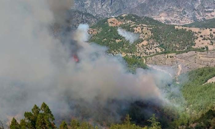 Adana’da orman yangınına 4 helikopter, 3 uçak müdahale ediyor Adana’da orman yangınına 4 helikopter, 3 uçak müdahale ediyor