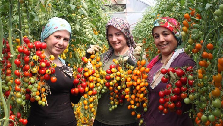 Böylesi daha önce görülmedi! Rengarenk üreterek iki kat kazandı