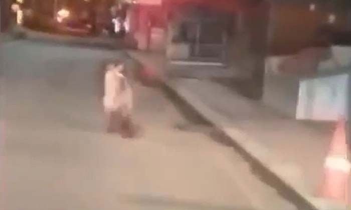 Rize’de aç kalan ayı ilçe merkezine indi