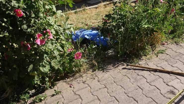 Çiçek toplarken fenalaşan yaşlı kadın Durdu hayatını kaybetti