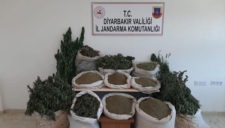 İçişleri Bakanlığı duyurdu: 2 milyonu aşkın kök kenevir ele geçirildi