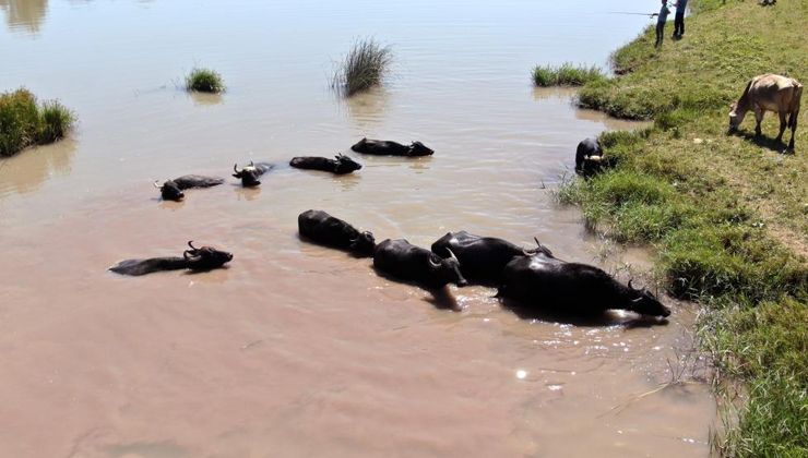 Burası Afrika değil Sivas