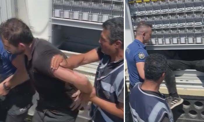 Aydın Kuşadası’nı karanlığa sokan trafo faresi yakalandı