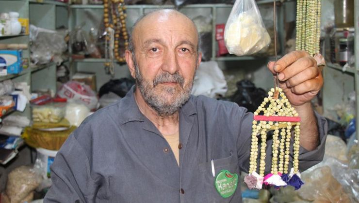 Bu tohumunun faydaları saymakla bitmiyor