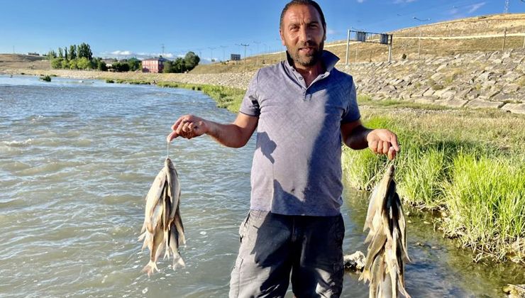 Sıcaktan bunalan vatandaşlar soluğu Murat Nehri’nde aldı