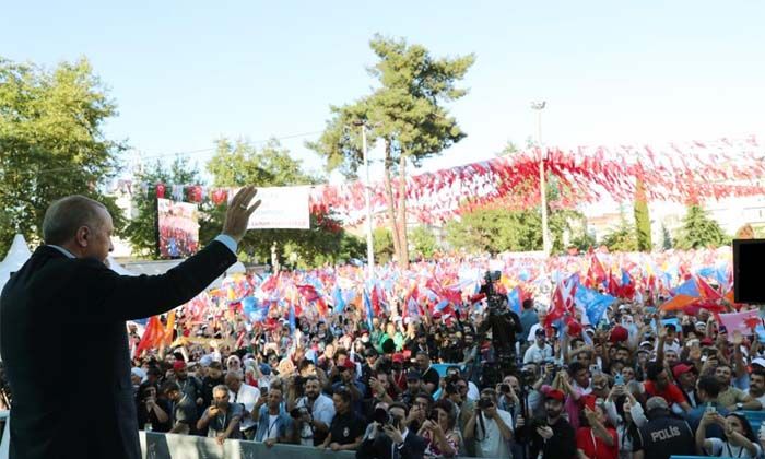 Erdoğan: Fındık alım fiyatı ortalama 54 TL