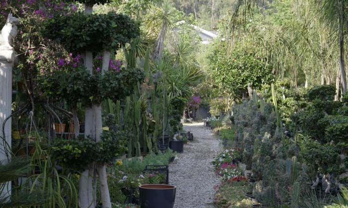 İnşaat projeleri peyzaj ile değer kazanıyor