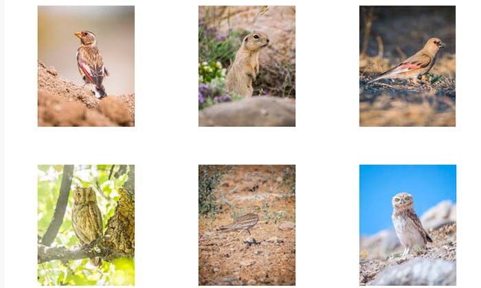 Doğaya Kanat Açtık projesi üçüncü rotasını tamamladı