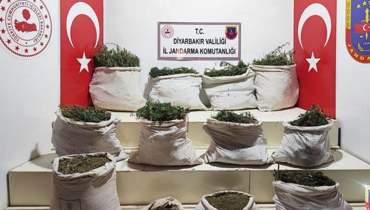 ‘Eren Abluka’ operasyonunda 3 milyon kök Hint keneviri ele geçirildi