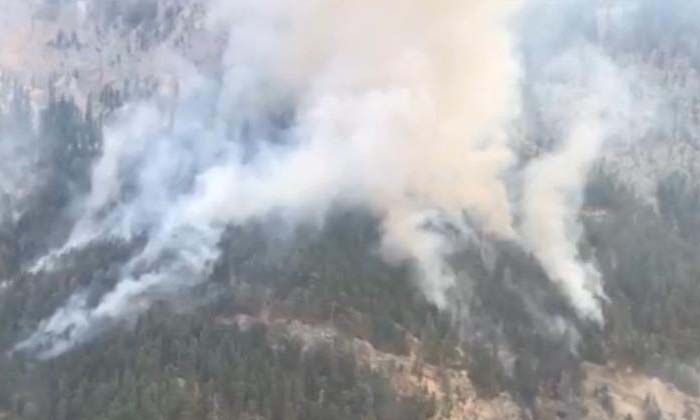 Mersin’deki orman yangınına müdahale ediliyor