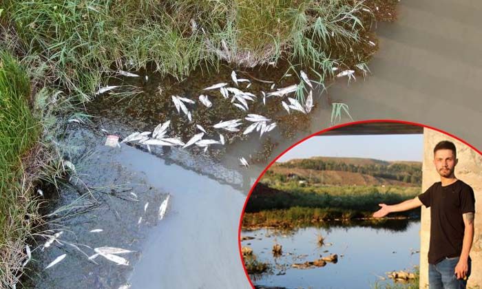 Toplu balık ölümleri görenleri tedirgin ediyor