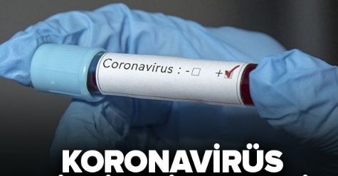 Korona virüsü ne öldürür?