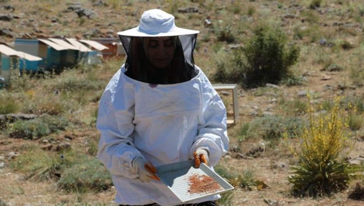 Uzmanlığını anne şefkati ile birleştirip arıcılığa başladı