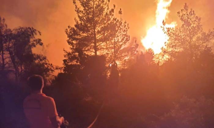 Soma’da orman yangınına havadan ve karadan müdahale sürüyor