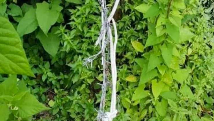 Domuzlar için tuzak kurdu, o tuzakta eşini kaybetti Domuzlar için tuzak kurdu, o tuzakta eşini kaybetti