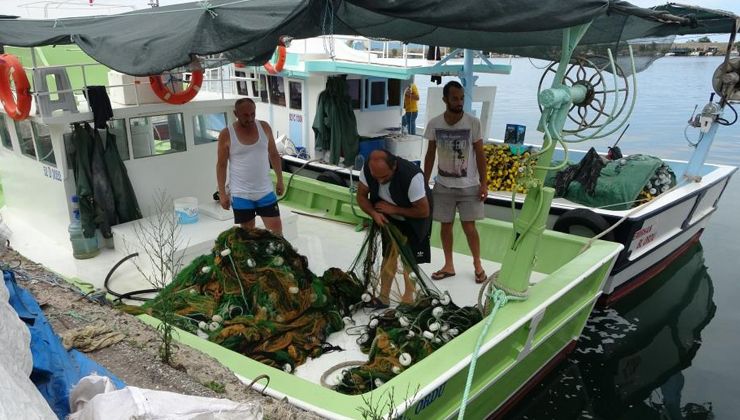 Balıkçıların umudu palamut: Bu sezon bol görünüyor