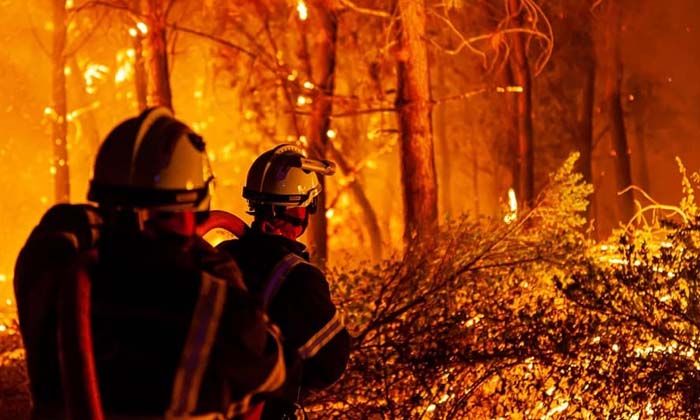 Fransa’daki orman yangını 7 bin 400 hektar alanı küle çevirdi