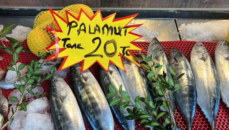 Palamut tezgahta yerini aldı