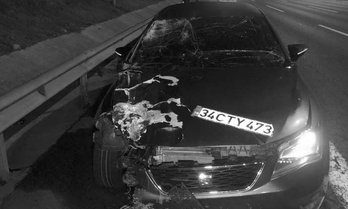 TEM’deki kazada Abdulmecid Alğan hayatını kaybetti