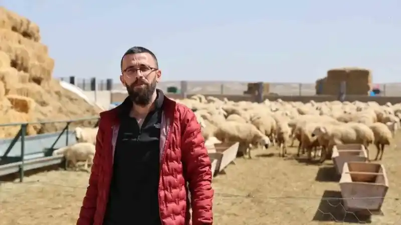 42 bin lira maaş, sigorta, dayalı döşeli ev ve karavana rağmen çoban bulunamıyor