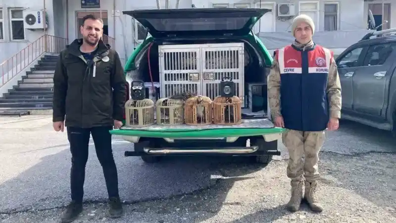 Bitlis’te keklik avlayan 4 kişiye 106 bin 135 lira para cezası Bitlis’te keklik avlayan 4 kişiye 106 bin 135 lira para cezası