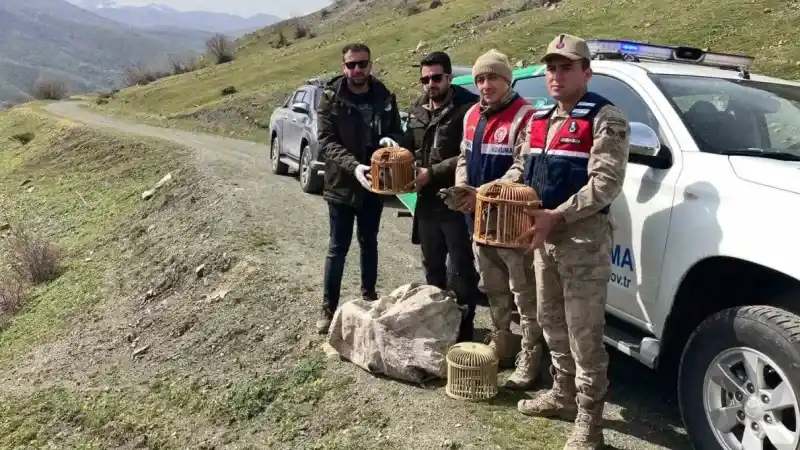 Bitlis’te keklik avlayan 4 kişiye 106 bin 135 lira para cezası Bitlis’te keklik avlayan 4 kişiye 106 bin 135 lira para cezası