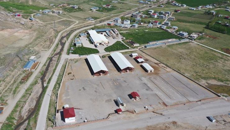 Şap hastalığı yayıldı: Canlı hayvan pazarı kapatıldı