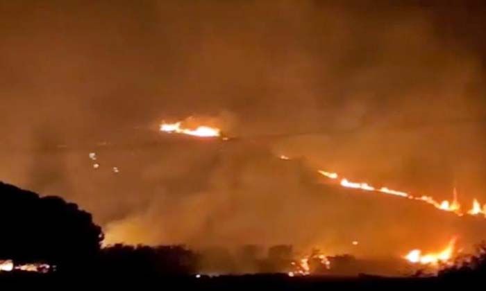 Söke’deki orman yangını kontrol altına alındı