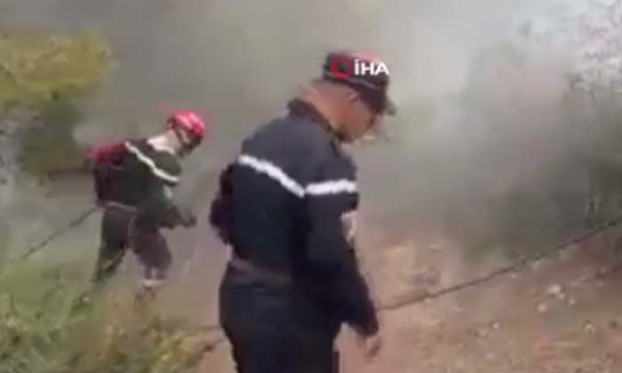 Cezayir’deki orman yangınlarında can kaybı 41’e yükseldi