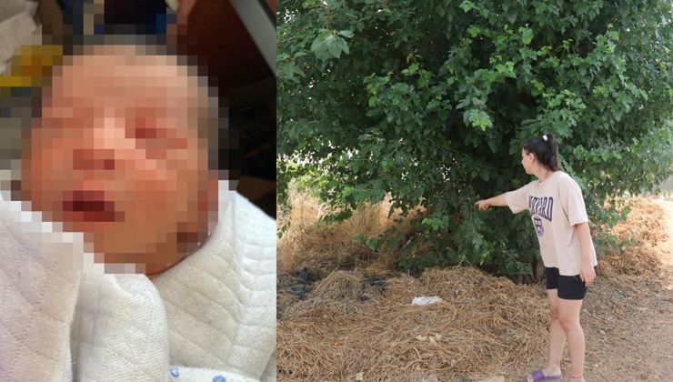 10 günlük bebeği ağaç altında adeta ölüme terk etmişler