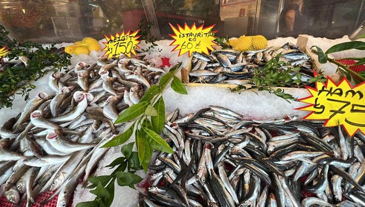 Balıkçılar yeni sezondan umutlu: Hamsi ve palamuda doyacaksınız