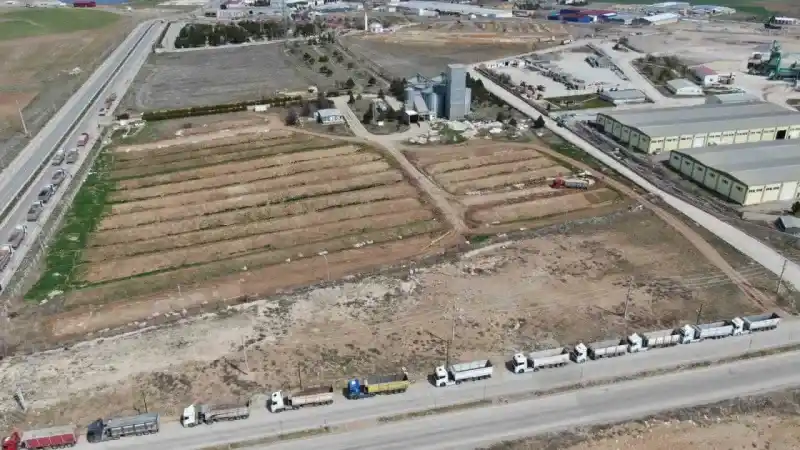 Silolara sığmayınca toprağa gömülmüştü