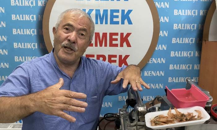 Türkiye Deniz Canlıları Müzesi kuşların yuvası oldu