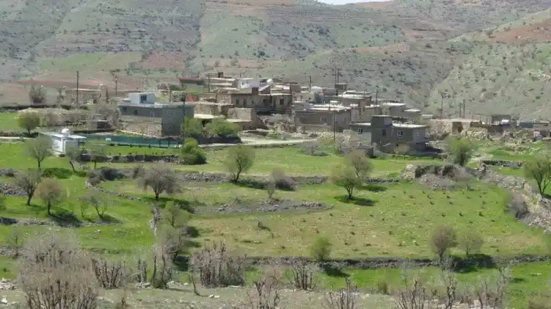 Gercüş’te çekilen filmden ilham alıp aday olan kadın, 1 oy farkla kazandı