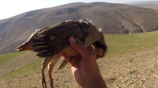 Iğdır’da kaçak keklik avcılarına 64 bin 624 lira ceza