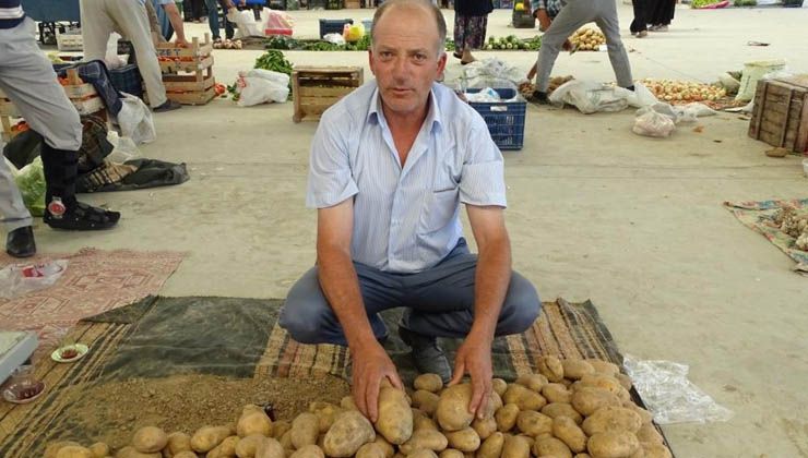 Yerli patates çıktı fiyatlar yine düşmedi