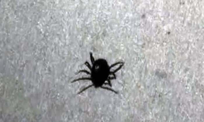 Yozgat’ta keneden ölenlerin sayısı 4’e yükseldi