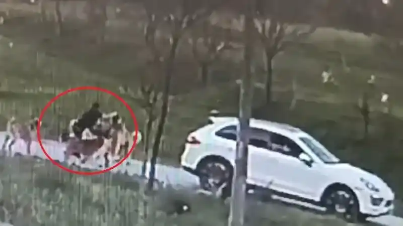  Bursa’da başıboş köpek dehşeti kamerada...Oğlu için kendini feda etti ölümden döndü