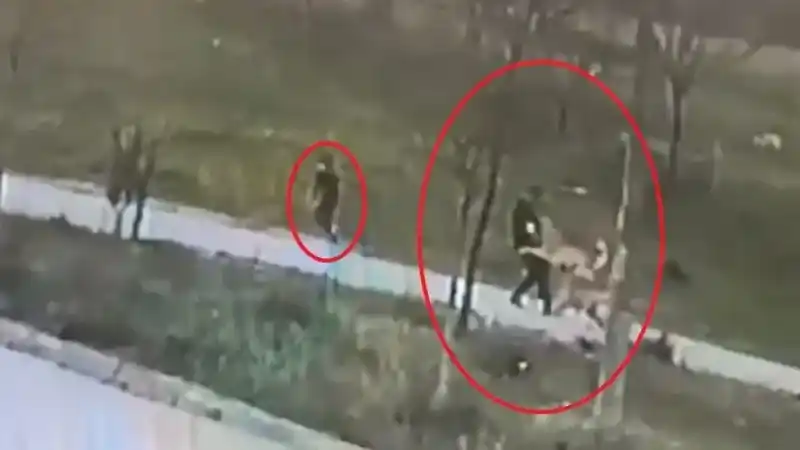  Bursa’da başıboş köpek dehşeti kamerada...Oğlu için kendini feda etti ölümden döndü