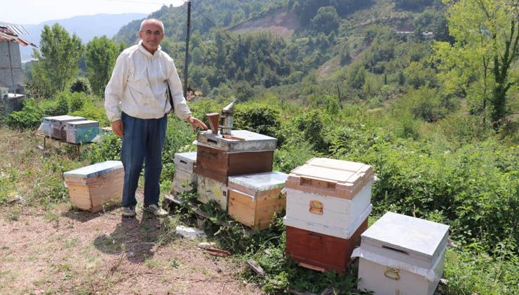 İklim değişikliği bal üretimini vurdu