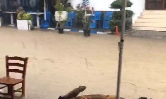 Bursa’da selde kurtarılan Aliye Yıldırım iki gün sonra hayatını kaybetti