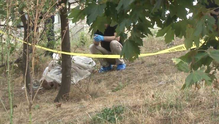 Pendik’te korkunç ölüm: Ağaçta asılı bulundu –