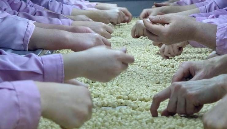 Yılın ilk 7 ayında 11 bin 81 ton fındık ihraç edildi