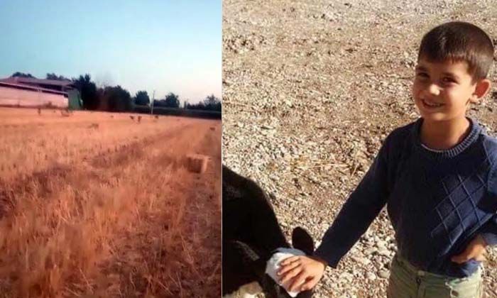 Köpeklerin saldırısında ağır yaralanan çocuk gözlerini açtı