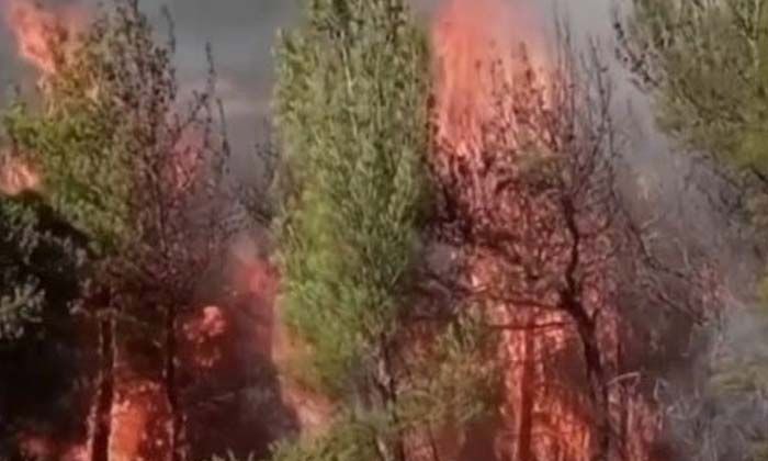 Kahramanmaraş’ta ikinci orman yangını