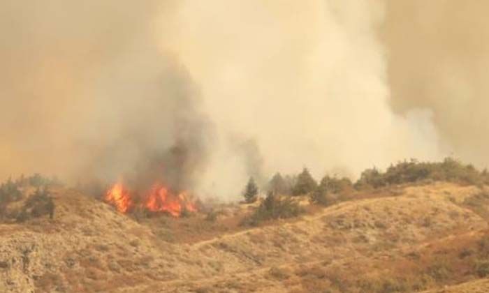 Gürcistan’ın yangınla mücadelesine Türkiye’den destek