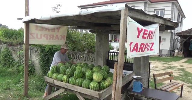 90 günde yetişiyor, Adana’ya rakip